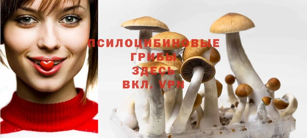 мет Баксан