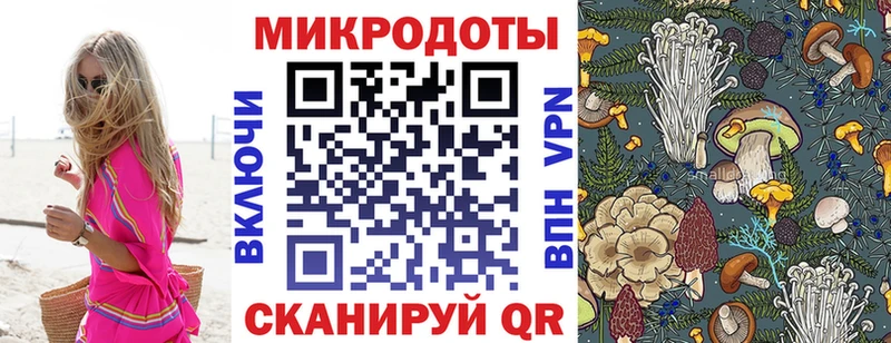 Псилоцибиновые грибы Cubensis  Шелехов 